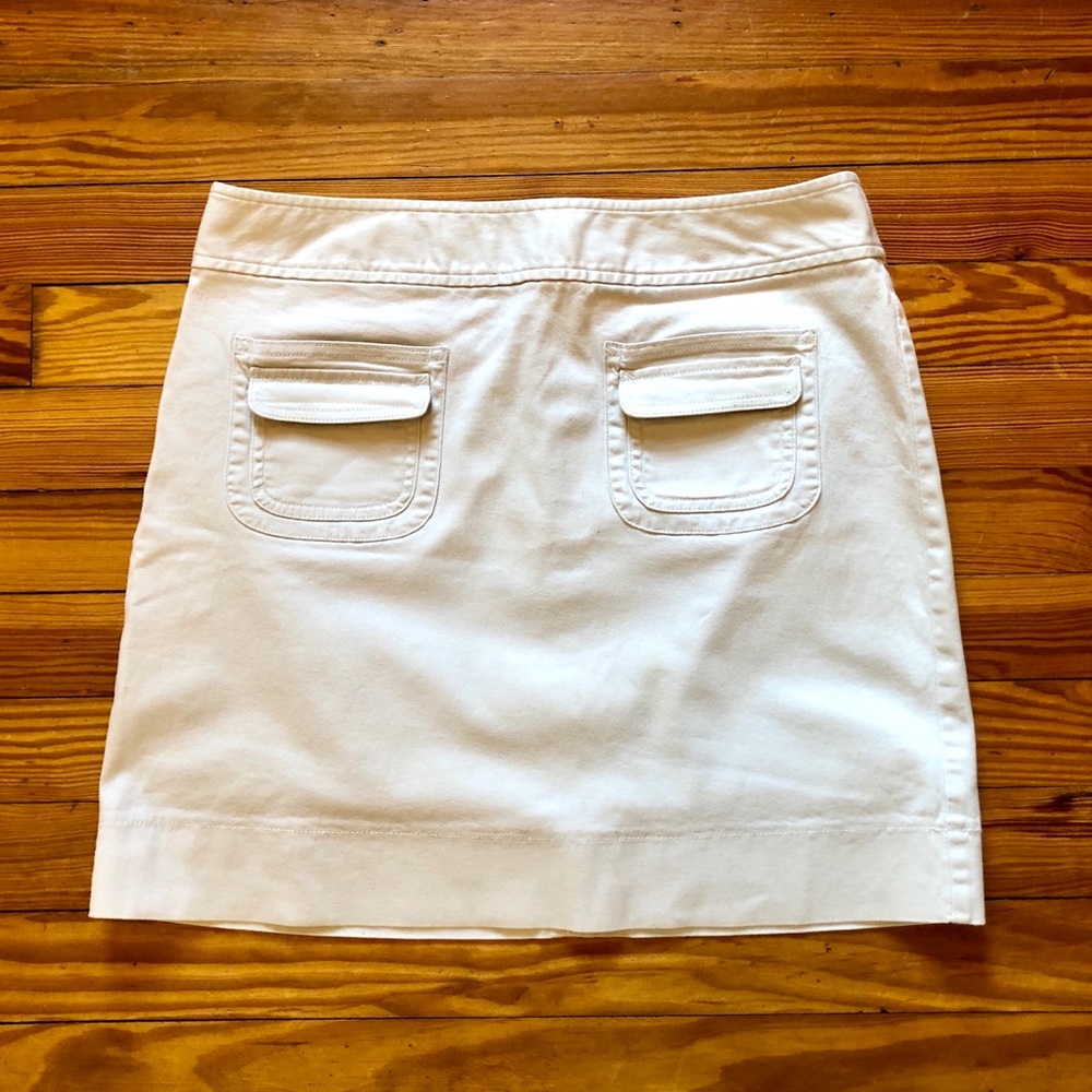 Ann Taylor LOFT Skirt